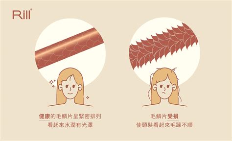 頭髮變紅|頭髮變紅的原因：是太陽照射還是身體問題？